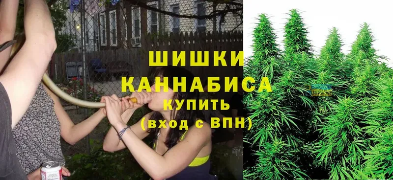 Каннабис Bruce Banner  Луга 